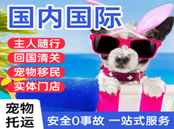 天水麦积山机场物流国际宠物托运 【国